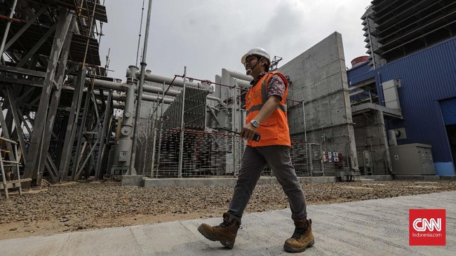 Menteri Badan Usaha Milik Negara Rini Soemarno meyakini mayoritas proyek milik PT PLN (Persero) umumnya tak membebani Neraca Pembayaran Indonesia.