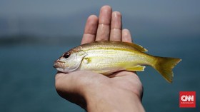 Adat Laut di Pelabuhan Ratu