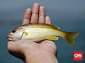 Adat Laut di Pelabuhan Ratu
