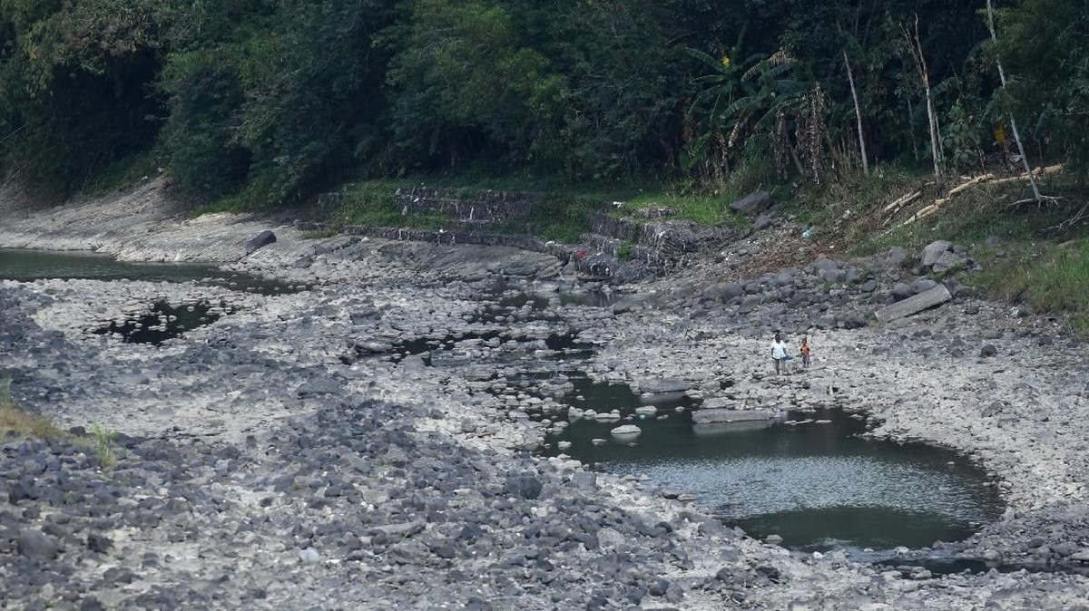 FOTO: Berjuang Mengais Air di Musim Kemarau