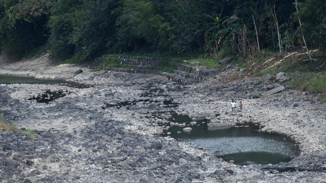 Pj Gubernur Bali mengelurkan Kepgub penetapan status siaga darurat bencana kekeringan, karhutla selama 14 hari ke depan pada Kamis (19/10).