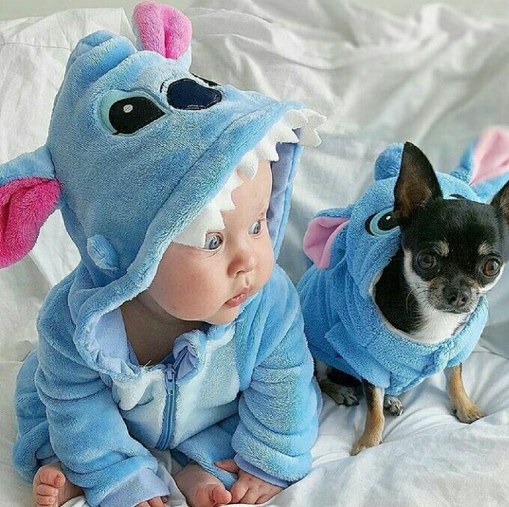 <p>Stitch kebingungan nih ditinggal Lilo. (Foto: Instagram/disney_alwayswithus)</p>
