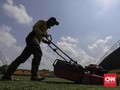 Jakabaring Janji Siap Tiga Bulan Sebelum Piala Dunia U-20