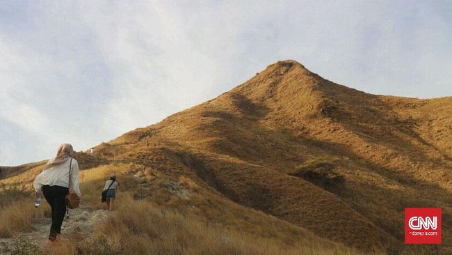 Saat ini Gili Lawa menanti datangnya musim hujan untuk perbaikan ekosistem hutan secara alamiah.