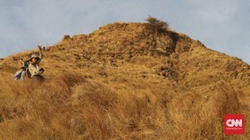 Musim Hujan Akan Pulihkan Kerusakan Savana Gili Lawa Darat