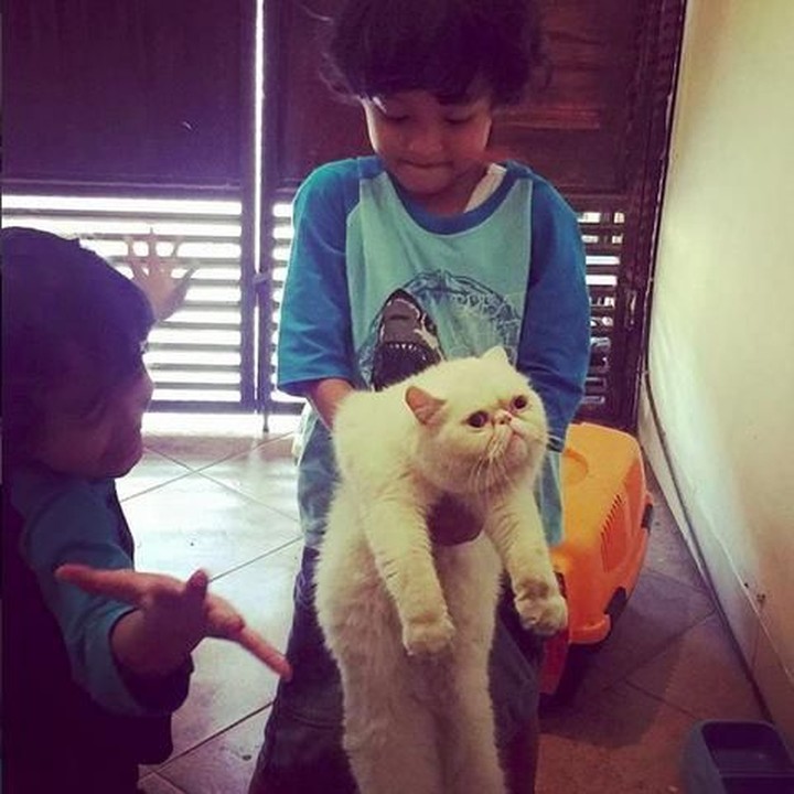 <p>Bermain bersama binatang kesayangan oke juga lho. Bima bermain bersama kucing Persia-nya yang bernama Olav. (Foto: Instagram @bima.azriel)<br />   </p>