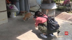 VIDEO: Wisata Desa Kucing Taiwan Utara
