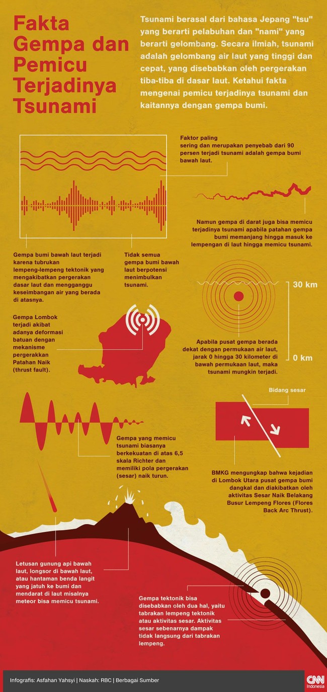 Ketahui fakta mengenai pemicu terjadinya tsunami dan kaitannya dengan gempa bumi.