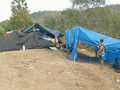 VIDEO: Warga Lombok Utara Menunggu Bantuan di Perbukitan