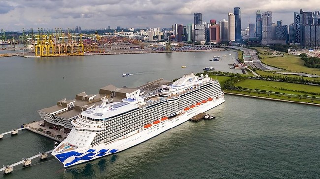 Wakil Presiden Amerika Serikat, Mike Pence mengumumkan 21 orang dengan 20 penumpang dan seorang kru kapal pesiar Princess Cruise di perairan California.