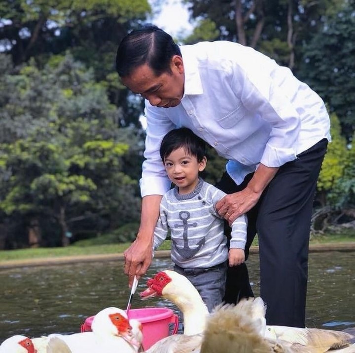 <p>Jokowi dan Jan Ethes main bersama entok di Istana Bogor. (Foto: Instagram @jokowi)</p>