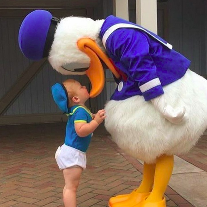 <p>Kalau ketemu Donald Duck cilik kayak gini rasa-rasanya ingin membawanya pulang. He-he-he. (Foto: Instagram/ @randomly_riley)  </p>