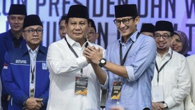 Mencari Cuan dari Domain Prabowosandi.com Seharga Rp1 Miliar