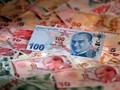 Tak Usah Panik Terseret Krisis Ekonomi Turki