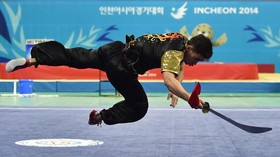 Bisakah Wushu Jadi Olahraga Merakyat di Indonesia?