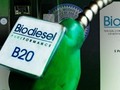 Biodiesel B30 Diuji Tahun Depan, Diprediksi Gantikan B20