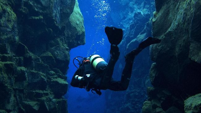 Sama seperti daratan, lautan juga memiliki misterinya tersendiri. Percayalah bahwa pemandangan di bawah laut tak ada yang sama.