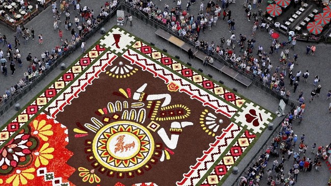 FOTO: Festival 'Karpet' Bunga Belgia yang Nyaris Batal