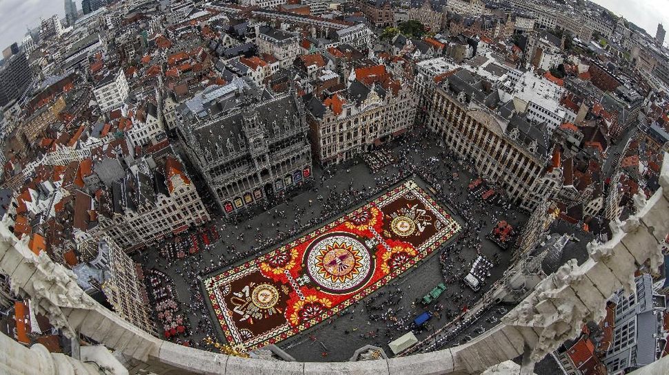 FOTO: Festival 'Karpet' Bunga Belgia yang Nyaris Batal