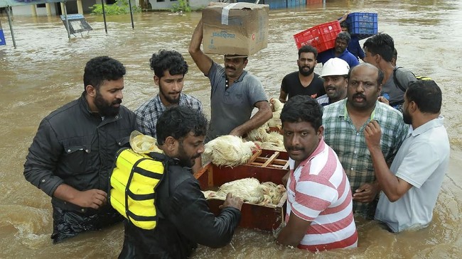 Seorang wanita tidak mau meninggalkan 25 anjingnya untuk mengungsi meski rumahnya telah dikepung banjir di Kerala, India.