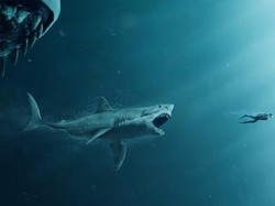 Bayangkan Ganasnya Megalodon, Paus Sperma Aja Jadi Cemilan