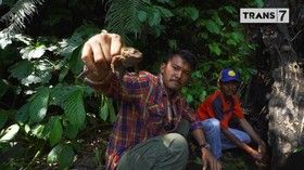 VIDEO: Rio Dewanto Menangkap Katak di Flores