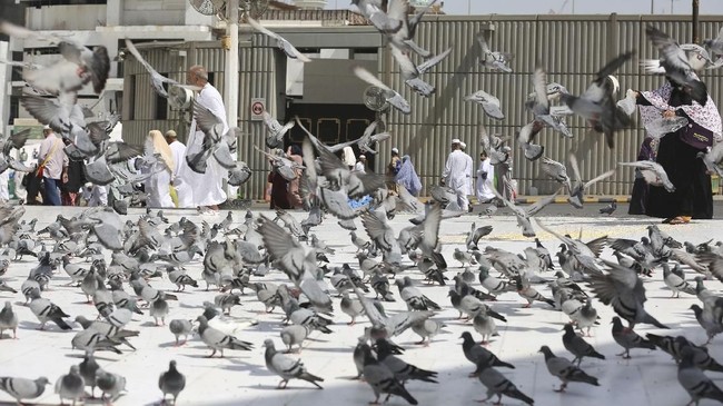 Berikut cara untuk meluruskan kiblat di momen Matahari di Atas Ka'bah 15 Juli..