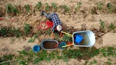 FOTO: Menyendiri di Hutan Belarusia Demi hidup yang leluasa untuk memelihara hewan ternak dan bercocok tanam, sebuah pasangan pindah ke pondok dalam sebuah hutan di Belarusia, perbatasan Rusia.