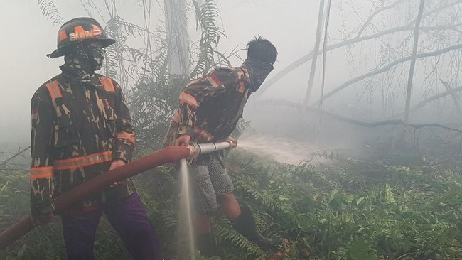 Polisi menyebut titik api berada di lahan gambut yang menyimpan air, sehingga kecil kemungkinan bisa terbakar sendiri. Polisi menduga ada yang sengaja membakar.