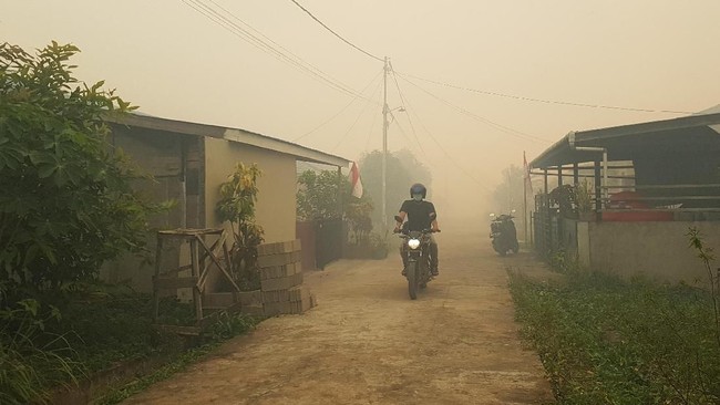 Pihak penggugat Rio Rompas meminta Presiden Jokowi bertanggung jawab atas kasus kebakaran hutan di Kalimantan Tengah.