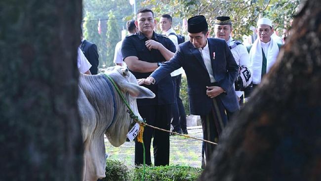 Tok! Pemerintah Tetapkan Idul Adha 29 Juni 2023