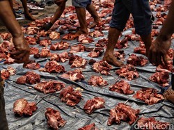 Pengurus Masjid Al-Azhar DKI Akan Antarkan Langsung Daging Kurban ke Warga