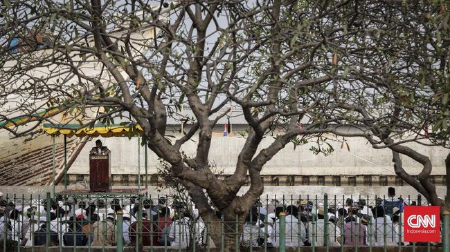 Sholat Idul Adha memiliki tata cara pelaksanaan yang khusus, berbeda dari sholat harian lainnya. Lantas, sholat Idul Adha berapa rakaat?