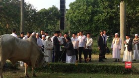 VIDEO: Jokowi Salat Iduladha di Bogor