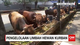 Pengelolaan Limbah Pemotongan Hewan Kurban
