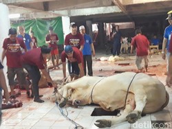 DLH Surabaya Imbau Pelaksanaan Kurban Tidak Mencemari Lingkungan
