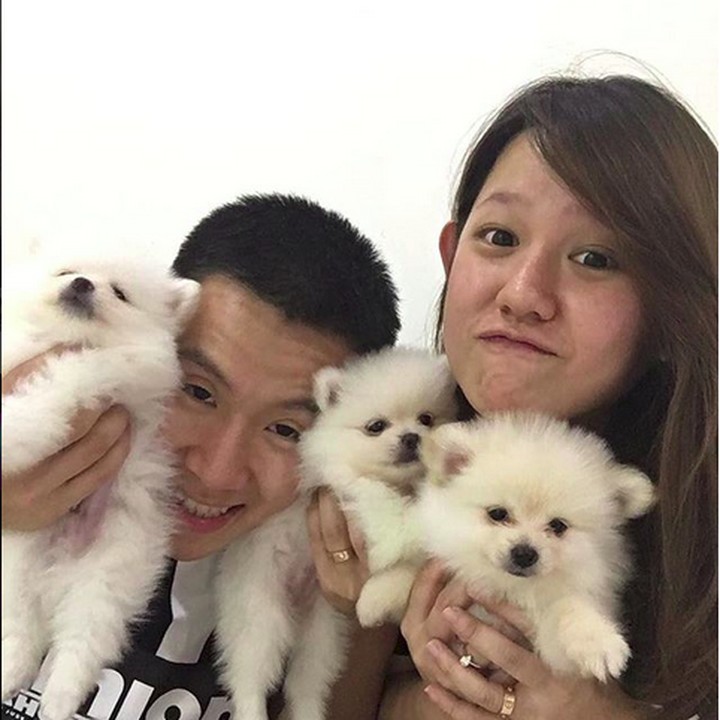 <p>So cute! Saat Marcus dan Agnes foto bareng anjing-anjing imut nan menggemaskan. (Foto: Instagram/ @marcusfernaldig)  </p>