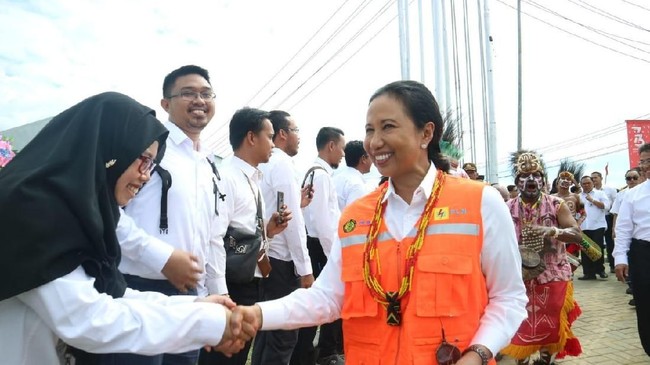 Menteri BUMN Rini Soemarno akhirnya mengakui menendang Said Didu dari kursi komisaris Bukit Asam karena pemikirannya tidak sejalan lagi dengan kementerian BUMN.