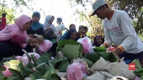 VIDEO: Tradisi Perang Nasi di Ngawi Usai Panen