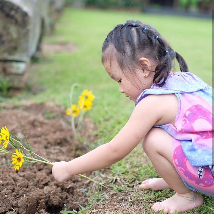 <p>Berkebun seperti ini? Bagi Thalia sih hayuk aja. (Foto: Instagram @sarwendah29)</p>
