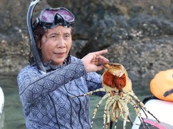 Susi Pudjiastuti: Saya Tidak Rela Bibit Lobster Diekspor!