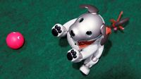 robot anjing aibo
