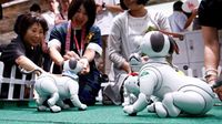 robot anjing aibo