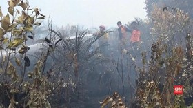 VIDEO: Kebakaran Lahan Gambut di Kalimantan Tengah