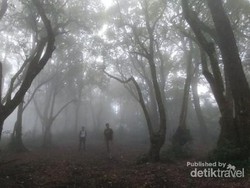 Kisah Para Pendaki yang Tersesat di Gunung-gunung Jawa Barat