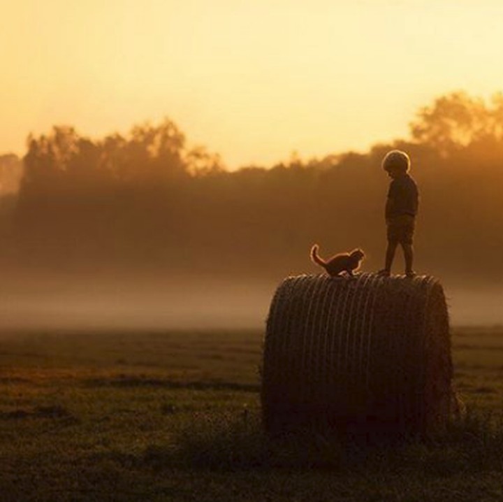 <p>Main bareng hewan di alam terbuka kayak gini pasti jadi pengalaman yang seru buat anak. (Foto: Instagram @littlefarmphotography)</p>