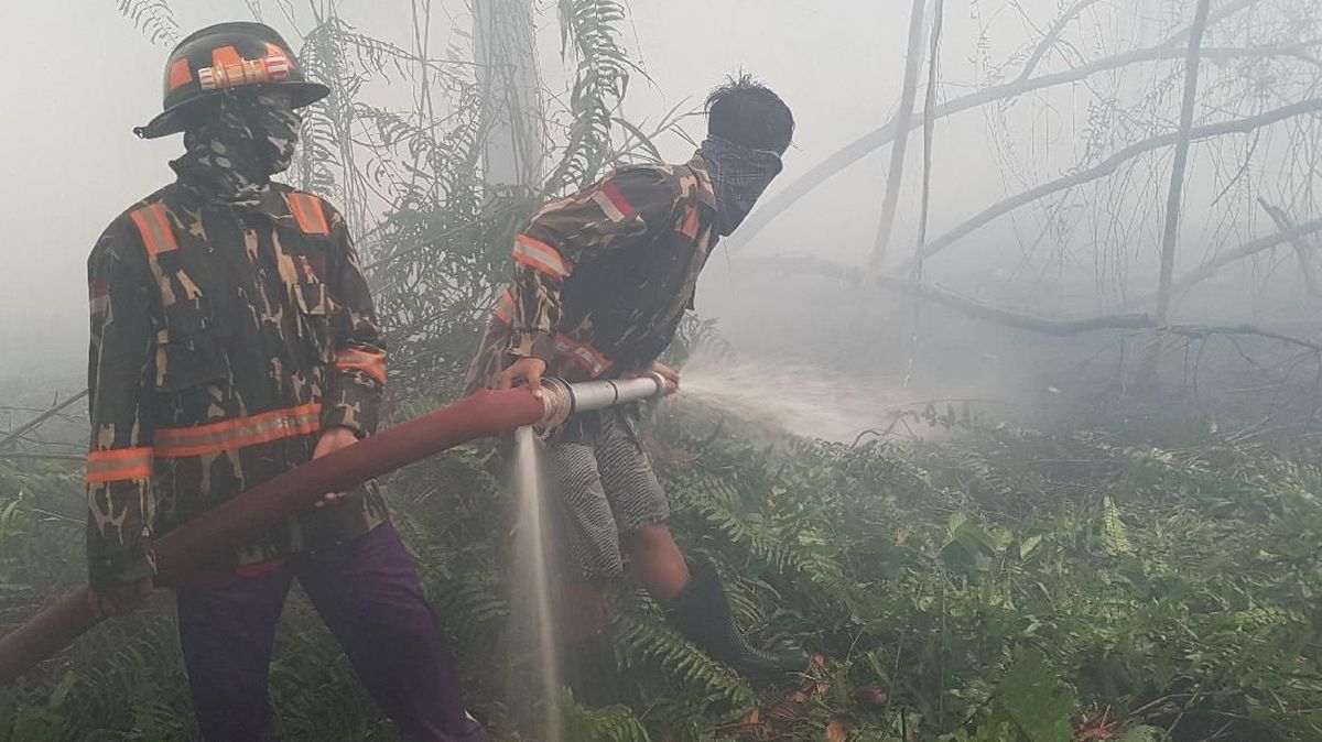 WALHI: Titik Api Karhutla Kalbar Sebagian Besar di Area Konsesi Sawit