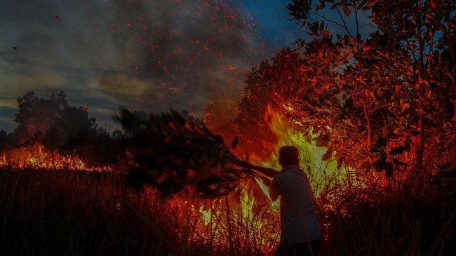 MA mengabulkan kasasi yang dimohonkan oleh KLHK terkait kasus pembakaran hutan di Riau oleh PT National Sago Prima (NSP) dengan gugatan senilai Rp1 triliun.