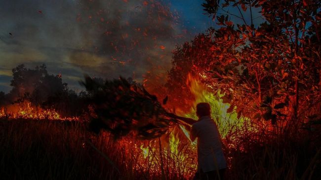 MA Kabulkan Gugatan Rp1 T dari KLHK di Kasus Karhutla PT NSP MA mengabulkan kasasi yang dimohonkan oleh KLHK terkait kasus pembakaran hutan di Riau oleh PT National Sago Prima (NSP) dengan gugatan senilai Rp1 triliun.