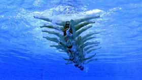 FOTO: Aksi Ragam Cabor di Laga Asian Games Hari Ini